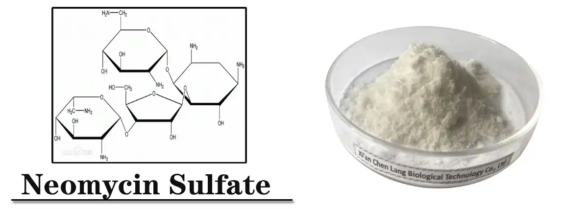 Neomycin Sulfate Powder Saler.jpg